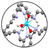 Molecular Attack of Solid Tumors and Plaques