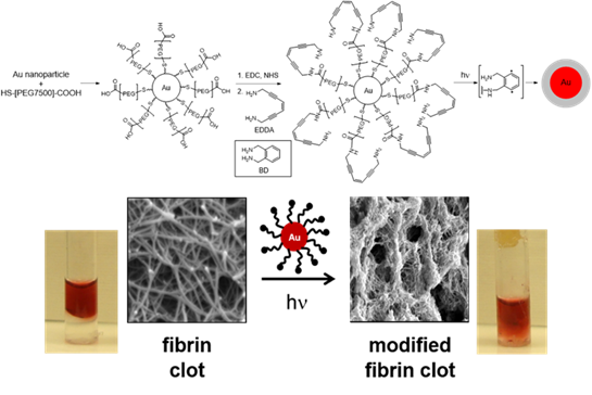 Figure 1. Au nanospheres with pegylated diradical generating EDDA-enediyne coating degrade fibrin clots and restore flow in 6 h at 514 nm (100 mW).